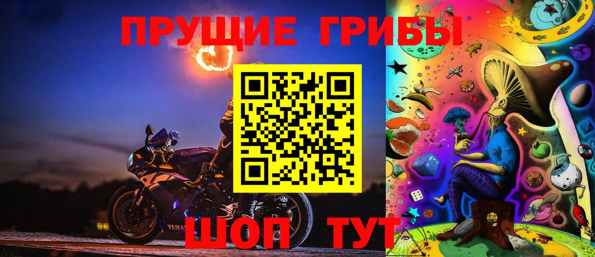 Псилоцибиновые грибы мицелий Сорочинск